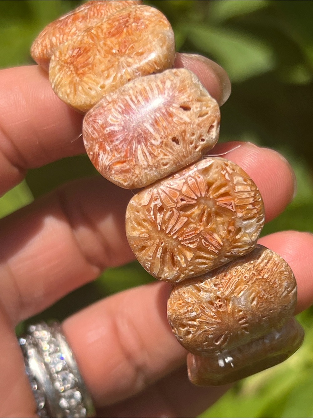Coral (10) jade bangle  — crystal